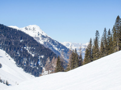 Ski2015 Day4 Fancy Dress 112 Ski2015 Day4 Fancy Dress 112