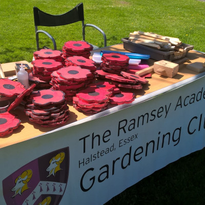Halstead May Day In The Park May 2018