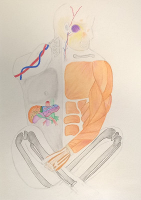 Rebecca Crouchman Rebecca Crouchman