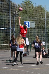 IMG 3709 IMG 3709