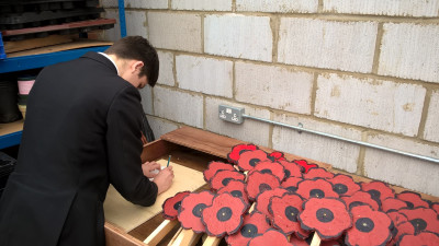 Wood Poppies 4 Wood Poppies 4