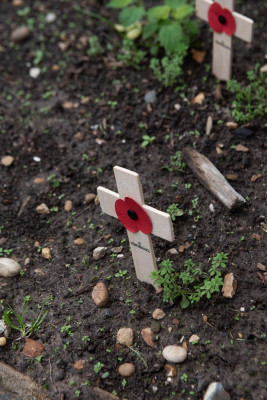 armistice day 111122 armistice day 111122