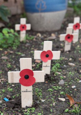 armistice day 111122 armistice day 111122