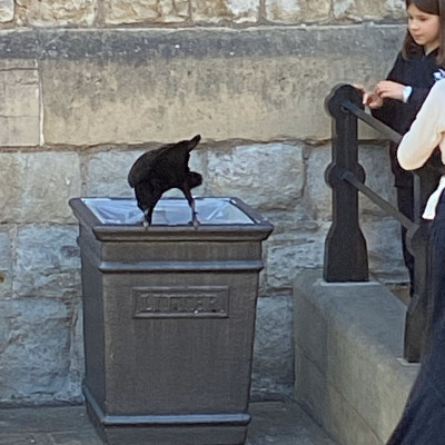 Tower of London